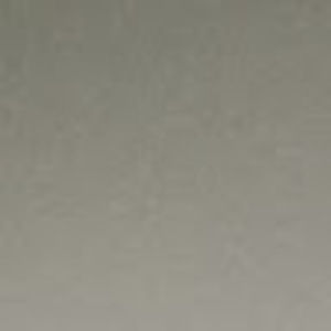 Meet your Posher, Nasai